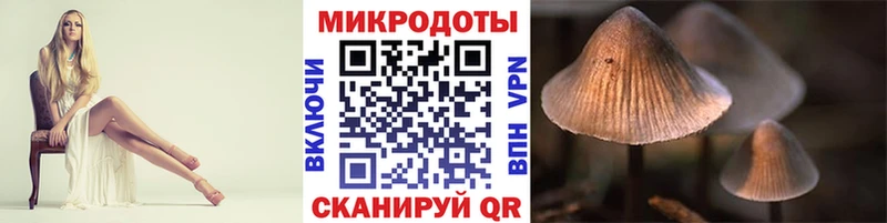 наркотики  ОМГ ОМГ маркетплейс  Галлюциногенные грибы Psilocybe  Светлоград 